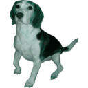 download Beagle Medium Version clipart image with 135 hue color