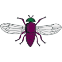 download Blue Bottle Fly clipart image with 135 hue color