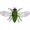 download Blue Bottle Fly clipart image with 270 hue color