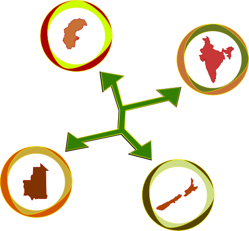 International Network 2