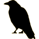 download Crow clipart image with 45 hue color