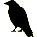 download Crow clipart image with 90 hue color