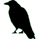 download Crow clipart image with 135 hue color