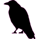download Crow clipart image with 315 hue color