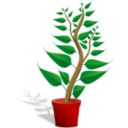 download Green Tall Plant In Its Pot clipart image with 0 hue color