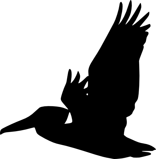 Flying Pelican Silhouette