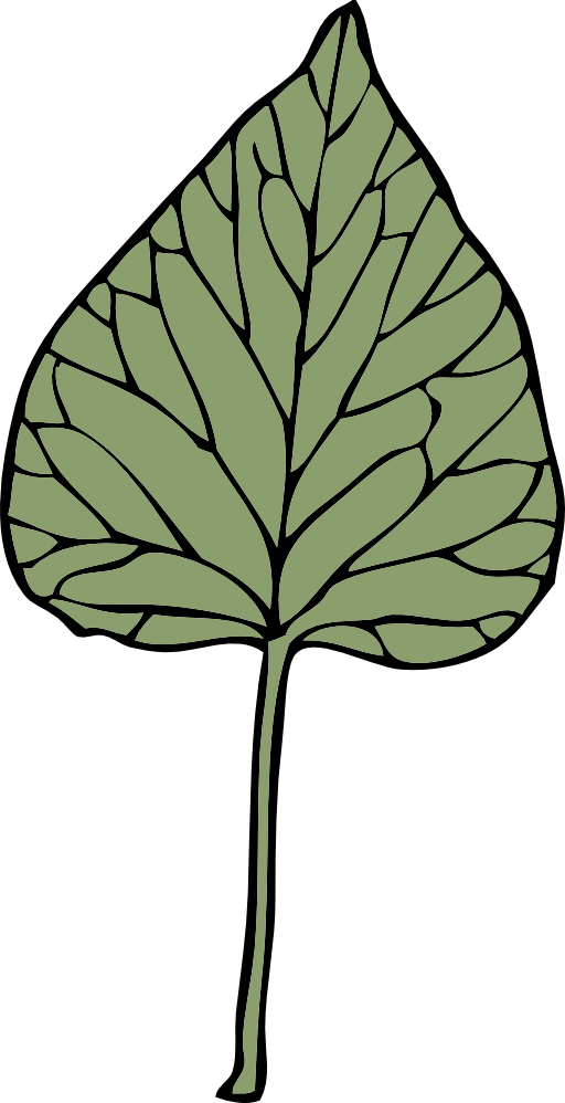 Ivy Leaf 6