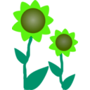 download Sunflowers clipart image with 45 hue color