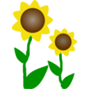 download Sunflowers clipart image with 0 hue color