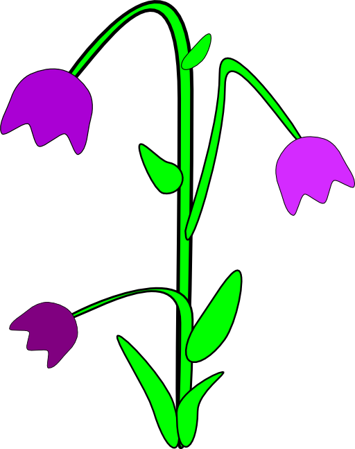 Bell Flower