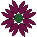 The Purple Flower