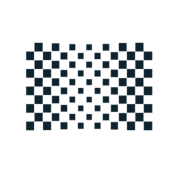 Chequered Flag Abstract Icon 2