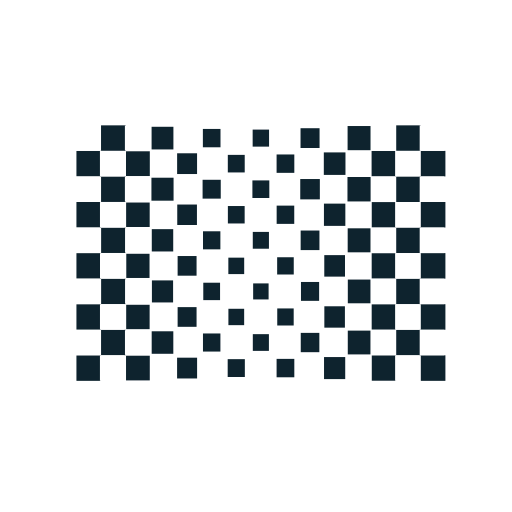 Chequered Flag Abstract Icon 2