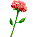 download Red Flower clipart image with 0 hue color