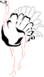 Ostrich