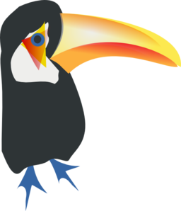 Toucan Toco