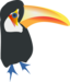 Toucan Toco