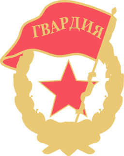 Soviet Guards Badge