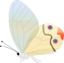 Transp Butterfly