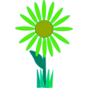 download Flower clipart image with 45 hue color