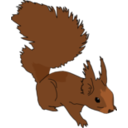 download Squirrel clipart image with 0 hue color