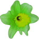 download Flower 16 clipart image with 45 hue color