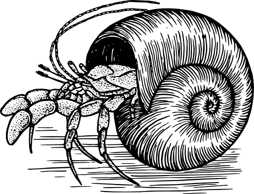 Hermitcrab