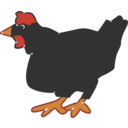 Hen