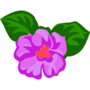 download African Violets 2 clipart image with 315 hue color