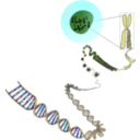download Chromosomes Deconstructed clipart image with 180 hue color