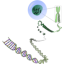 download Chromosomes Deconstructed clipart image with 225 hue color