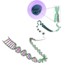 download Chromosomes Deconstructed clipart image with 270 hue color