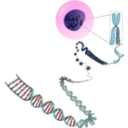 download Chromosomes Deconstructed clipart image with 315 hue color