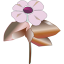 download Pacific Dogwood Cornus Nuttallii clipart image with 270 hue color