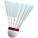 Badminton Shuttlecock