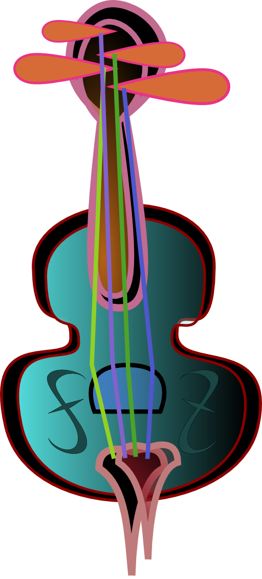 Violin