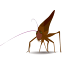 download Grasshopper clipart image with 270 hue color