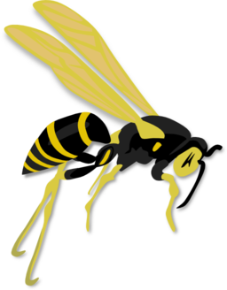 Flying Wasp