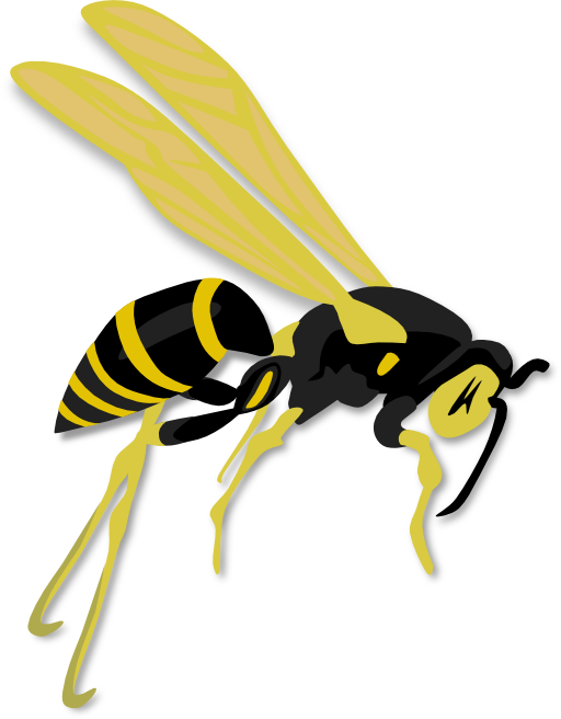 Flying Wasp