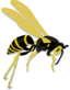 Flying Wasp