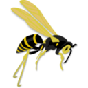 Flying Wasp
