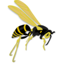 download Flying Wasp clipart image with 0 hue color