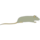 download Rat By Rones clipart image with 45 hue color