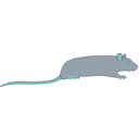 download Rat By Rones clipart image with 180 hue color