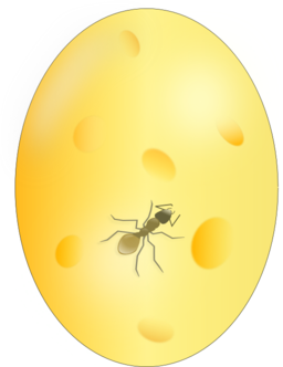 Ant In Amber