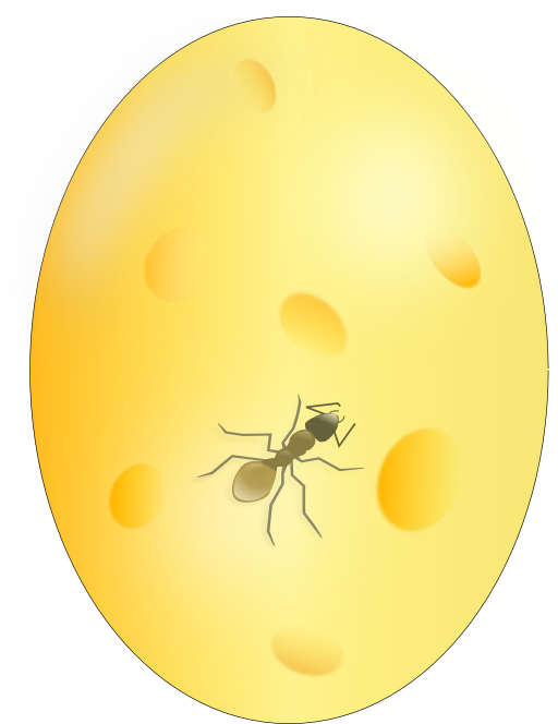 Ant In Amber