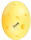 Ant In Amber