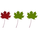 download Maple Leaf clipart image with 315 hue color