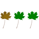 download Maple Leaf clipart image with 0 hue color