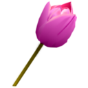 download Pink Tulip clipart image with 315 hue color